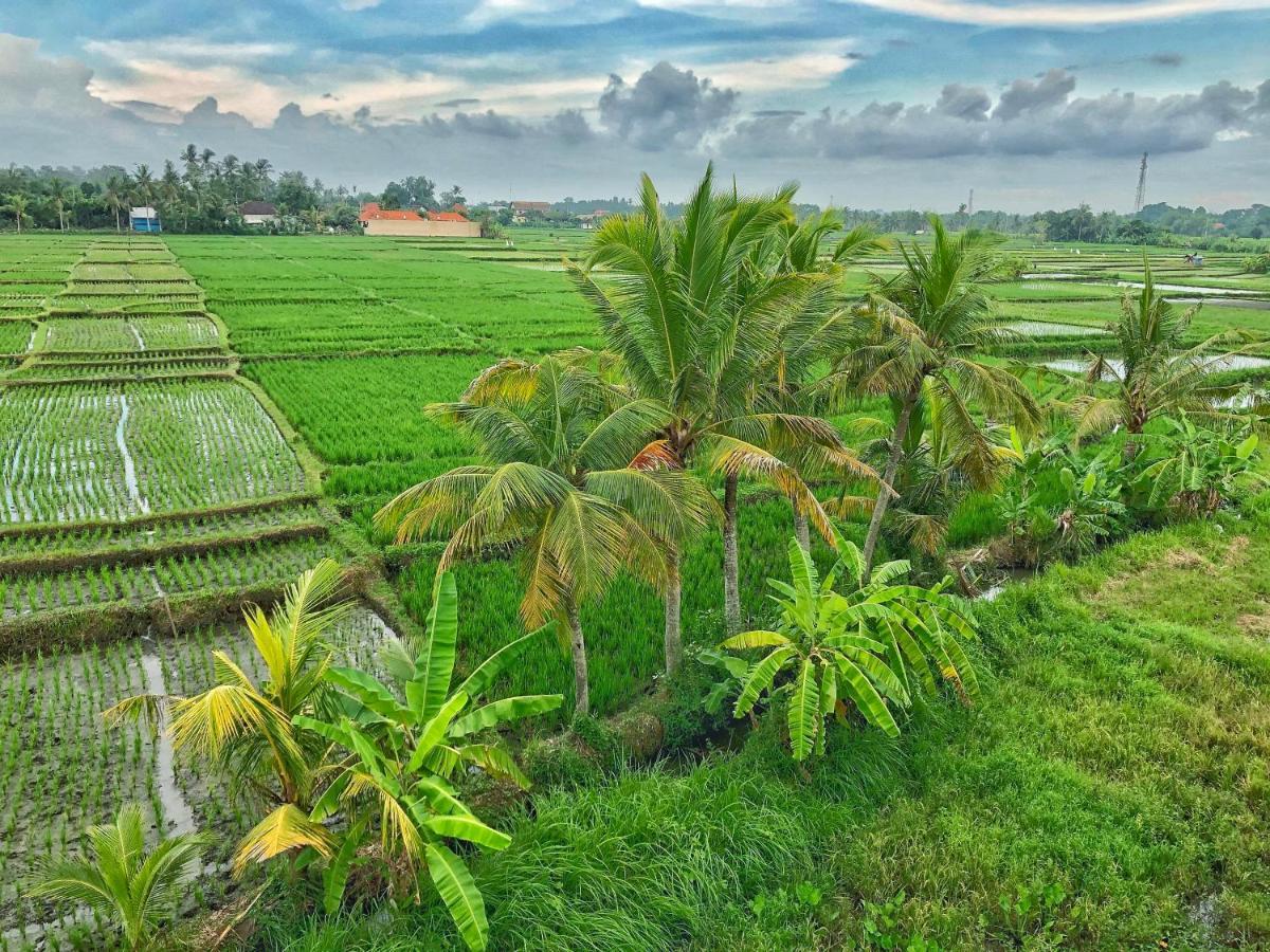 Swell Hotel, Pool Bar & Restaurant Tanah Lot Exteriör bild